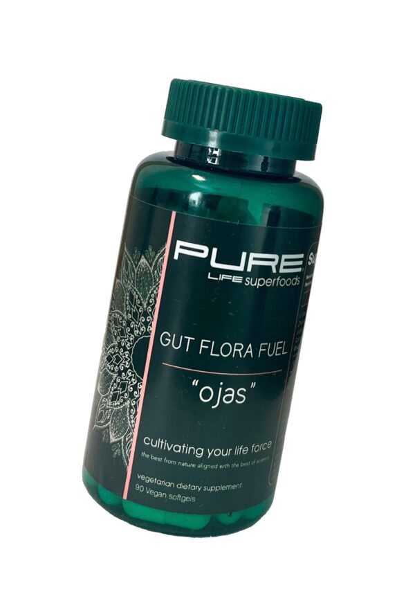 Gut Flora Fuel - Image 2